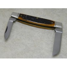 Queen City 2012 Aged Honey Amber Stag Bone #31 Large 2 Blade Congress Knife in Box Queen City 2012 Aged Honey Amber Stag Bone #31 Large 2 Blade Congress Knife in Box