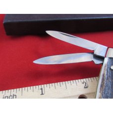Kane Cutlery Co. Stag  3 blade Congress 