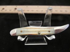 Case XX 2000  Shield & Tang Stamp Burnt White Bone  Tiny Texas Toothpick Pattern 610096 SS