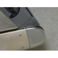Bulldog Brand Germany 1999 Wolverine Knife Collectors Club Mastodon Ivory Elephant Toe Knife Bulldog Brand Germany 1999 Wolverine Knife Collectors Club Mastodon Ivory Elephant Toe Knife