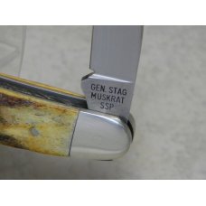 Case XX Stainless USA 2 Dot (1978) Gen. Stag SSP Red Etch Muskrat Knife Case XX Stainless USA 2 Dot (1978) Gen. Stag SSP Red Etch Muskrat Knife