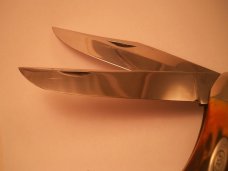 Case Knife 5265 SAB Folding Hunter Stag Case Knife 5265 SAB Folding Hunter Stag