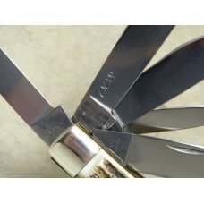 Bulldog Brand Solingen Germany Genuine Stag 20 Year Anniversary 5 Blade Trapper Knife in Box c.1998 Bulldog Brand Solingen Germany Genuine Stag 20 Year Anniversary 5 Blade Trapper Knife in Box c.1998