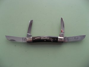 BULLDOG BUFFALO HORN CONGRESS 