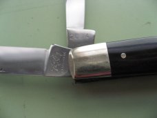 BULLDOG BUFFALO HORN CONGRESS 