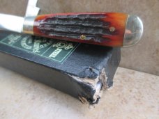 Queen #69 Teardrop Jack Knife in Amber Stag Bone Queen #69 Teardrop Jack Knife in Amber Stag Bone