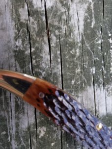 KABAR NICKEL SILVER DOG HEAD CHESTNUT BONE LARGE TEXAS TOOTHPICK 1980s KABAR NICKEL SILVER DOG HEAD CHESTNUT BONE LARGE TEXAS TOOTHPICK 1980s