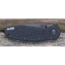 Kershaw Blur 1670BL