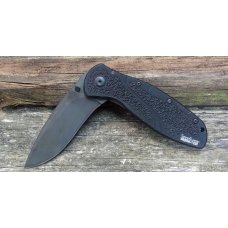 Kershaw Blur 1670BL