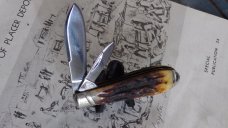 Colt 2 Blade  Tear Drop Jack Jigged Bone Handles-Presentation Box