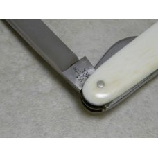 Vintage Wester & Butz Solingen Genuine Ivory 4 Blade Pen with Corkscrew Knife c.1832-1966 Vintage Wester & Butz Solingen Genuine Ivory 4 Blade Pen with Corkscrew Knife c.1832-1966