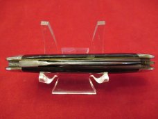 Schatt & Morgan Buffalo Horn Equal end Whittler Pattern # 143299 Schatt & Morgan Buffalo Horn Equal end Whittler Pattern # 143299