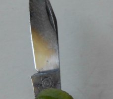 Letter Opener with knife-Jade Color