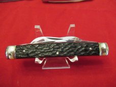 Germany Eye  3 Eye Brown Jigged Bone Congress