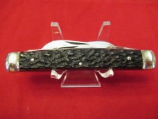 Germany Eye  3 Eye Brown Jigged Bone Congress