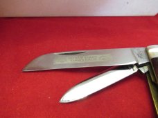 Germany Eye  3 Eye Brown Jigged Bone Congress