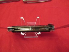 Germany Eye  3 Eye Brown Jigged Bone Congress