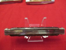 Germany Eye  3 Eye Brown Jigged Bone Congress