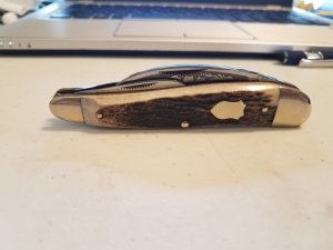 Bulldog 3 blade seahorse whittler - Thor model 