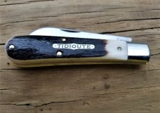 Great Eastern Tidioute Natural Oily Creek Bone Ram's Foot Knife,933119,4",NIT EXCEPTIONAL Great Eastern Tidioute Natural Oily Creek Bone Ram's Foot Knife,933119,4",NIT EXCEPTIONAL