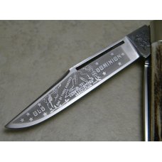 Bulldog Brand Germany Stag "1981 Old Dominion Knife Collectors Association" Trapper Knife
