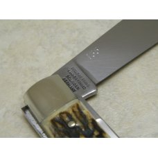 Bulldog Brand Germany Stag "1981 Old Dominion Knife Collectors Association" Trapper Knife