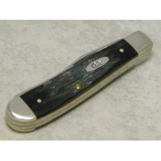 Case XX USA 2013 Buffalo Horn BH207 SS Mini Trapper Knife