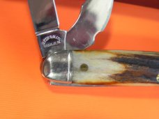 Schatt & Morgan Scout/Utility/Camp Knife w/ Nice Stag Handles & Blade Etch -NOS