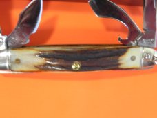Schatt & Morgan Scout/Utility/Camp Knife w/ Nice Stag Handles & Blade Etch -NOS