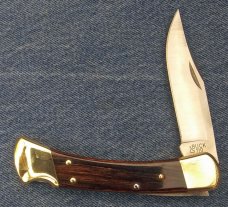 Buck 110 Folding Hunter 2005 Buck 110 Folding Hunter 2005
