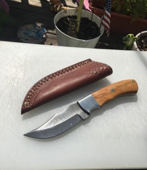 Fixed large clip Blade Damascus Hunter - Beautiful Olivewood hardwood handle & Leather Sheath