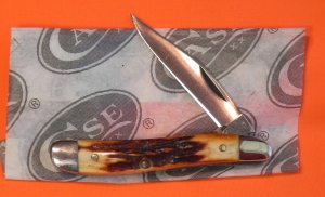 Case xx 1978 Single Blade Peanut Pocket Knife with Great Stag Handles & -NOS & M/NM