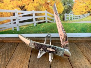 Case Pitch Black Rogers Jigged Bone Medium Toothpick 20th Anniversary CCC Commemorative Set