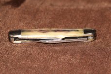 Vintage 1998 Case XX 6347 Stockman Appalosa Purple Bone Handle Knife (#128) Vintage 1998 Case XX 6347 Stockman Appalosa Purple Bone Handle Knife (#128)