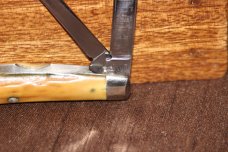 Vintage 1940-1964 Case XX 64052 Congress Stag handle Knife (#164) Vintage 1940-1964 Case XX 64052 Congress Stag handle Knife (#164)