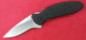 Kershaw Scallion #1620
