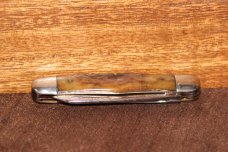Antique pre-1920 W. R. Case & Sons 6242P Jack Rogersbone knife (#186) Antique pre-1920 W. R. Case & Sons 6242P Jack Rogersbone knife (#186)