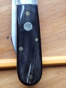 QUEEN BARLOW 69 1/2 FEATHERED BUFFALO HORN QUEEN BARLOW 69 1/2 FEATHERED BUFFALO HORN