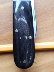 QUEEN BARLOW 69 1/2 FEATHERED BUFFALO HORN QUEEN BARLOW 69 1/2 FEATHERED BUFFALO HORN