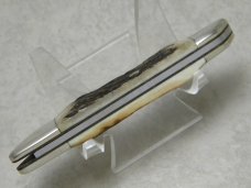 Taylor Cutlery Japan Elk Horn Surgical 1980 Stag Shark Easy Open Knife Taylor Cutlery Japan Elk Horn Surgical 1980 Stag Shark Easy Open Knife