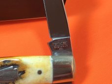 Schatt & Morgan MuskRat Pocket Knife w/ Super Genuine Stag Horn Handles - 1 of 600