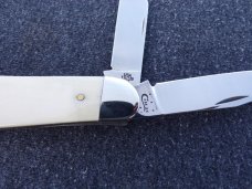CASE XX  EXOTIC ELEPHANT IVORY SOWBELLY KNIFE
