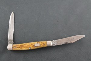 Remington moose