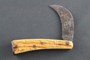 A.PESCHARD STAG HAWKBILL