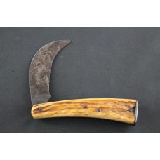 A.PESCHARD STAG HAWKBILL A.PESCHARD STAG HAWKBILL