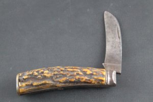 T.TURNER AND CO. stag hawkbill