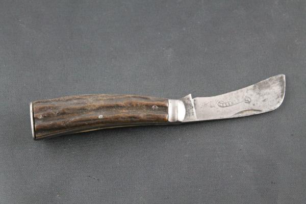 INTRINSIC stag hawkbill INTRINSIC stag hawkbill