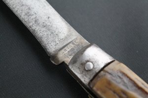 ENCORE stag knife
