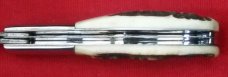 Customized Sambar Stag Camco Barlow