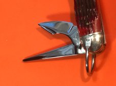 Schatt & Morgan Large Scout/Utility/Camp Knife w/ Great Red Bone Handles +Gold S&M Scout Shield -NOS Schatt & Morgan Large Scout/Utility/Camp Knife w/ Great Red Bone Handles +Gold S&M Scout Shield -NOS
